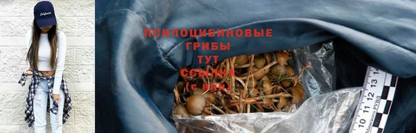 шишки Алексин