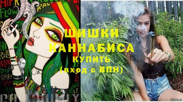 шишки Алексин