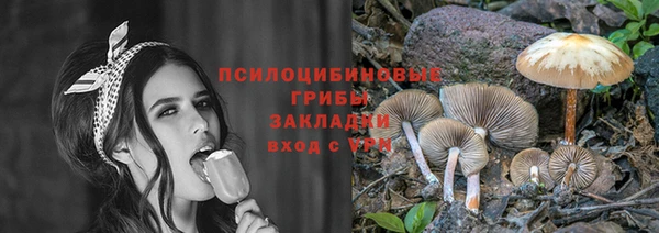 шишки Алексин